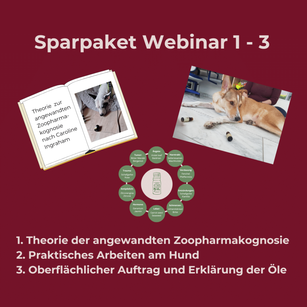 Webinar 1-3